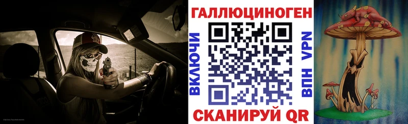 Галлюциногенные грибы Psilocybe  Барнаул 
